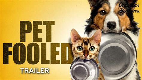 pet fooled trailer